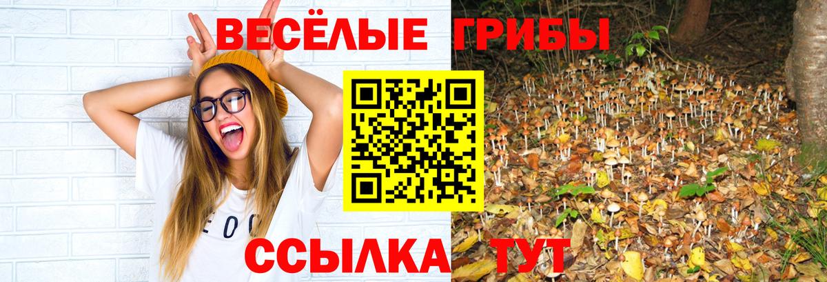 Псилоцибиновые грибы GOLDEN TEACHER  Вход с VPN  Галлюциногенные грибы мухоморы  Нижний Новгород 